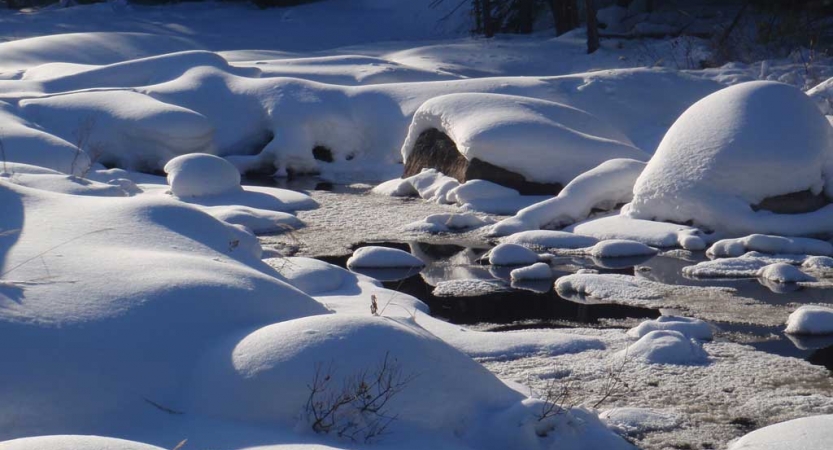 a frozen creek winds through clumps of snow